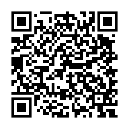 QR code for FZE 493