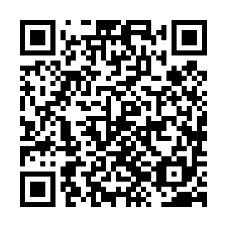 QR code for FZH495
