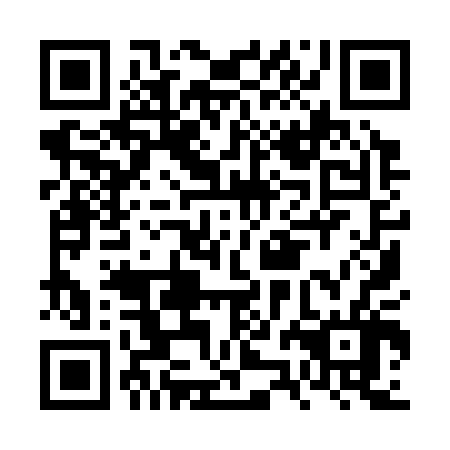 QR code for plate FZI 306