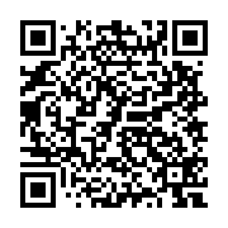 QR code for FZJ 519
