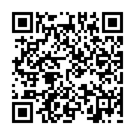 QR code for plate FZK 272