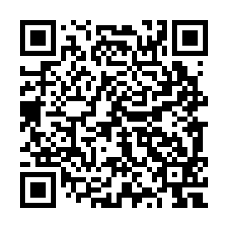 QR code for plate FZL 393