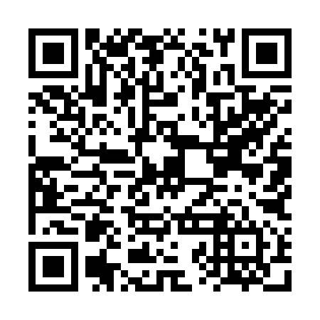 QR code for FZM 294