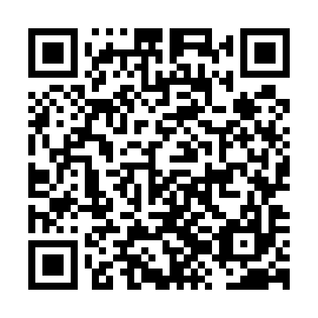 QR code for FZO 597