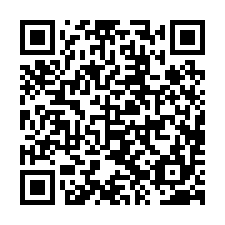 QR code for FZP 294