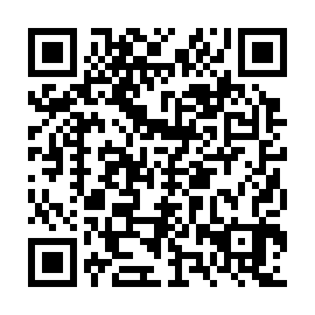 QR code for FZR 303