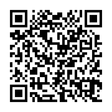 QR code for FZT 225