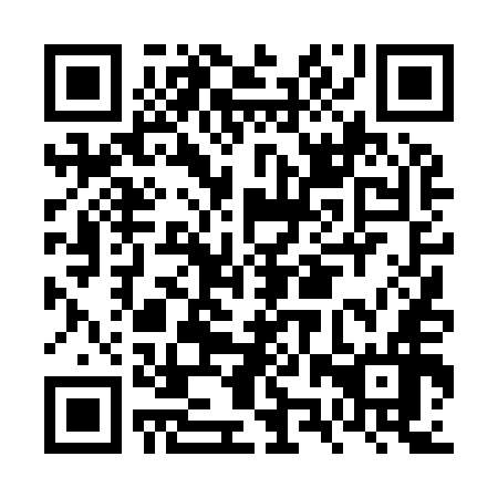 QR code for FZT 956