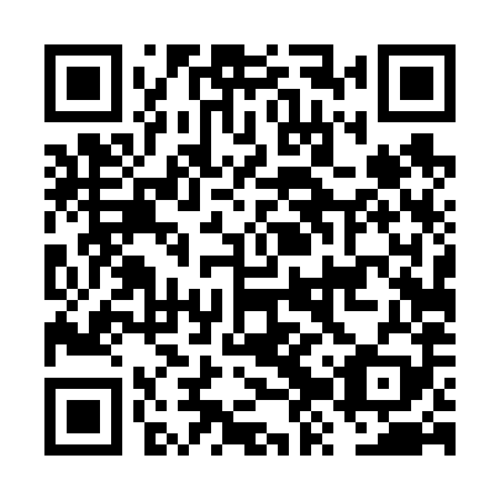 QR code for plate FZT 689