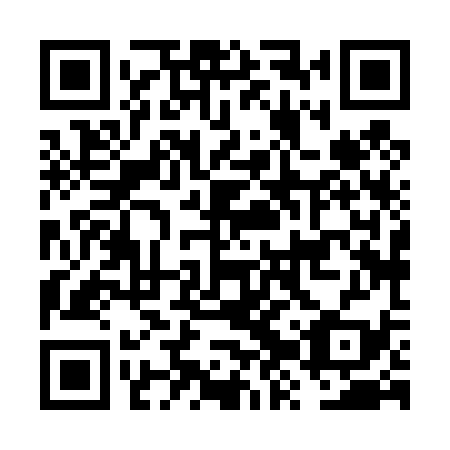 QR code for FZX 439