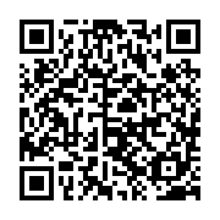 QR code for FZX295