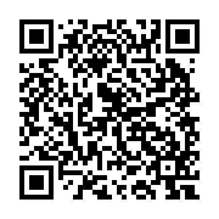 QR code for plate GAB 297