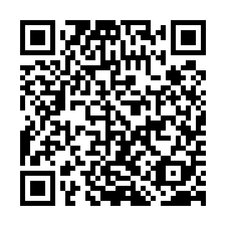QR code for plate GAS 509