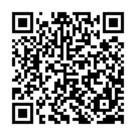 QR code for plate GAT 596