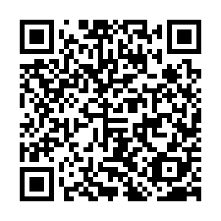 QR code for plate GAV 308