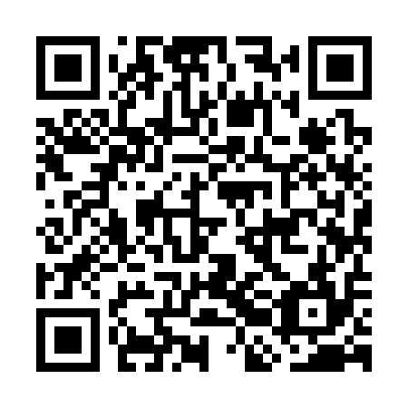 QR code for plate GBI 314