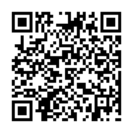 QR code for plate GBW 295