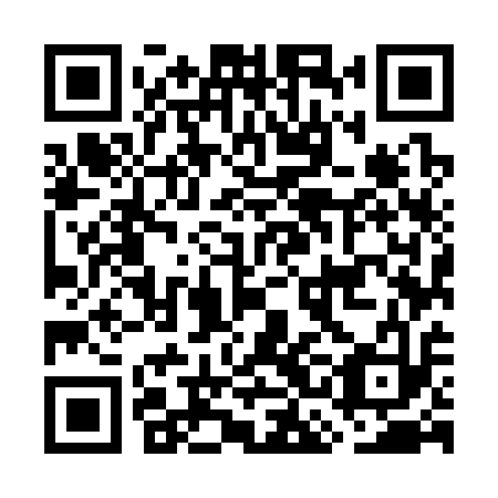 QR code for plate GCM 313