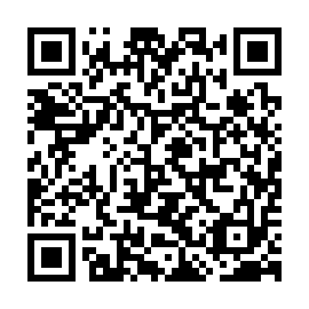 QR code for GCQ 313