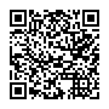 QR code for GEO 486