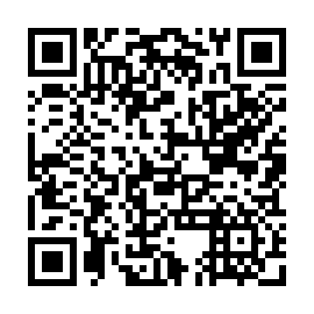 QR code for GEO337