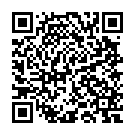 QR code for plate GEQ 041