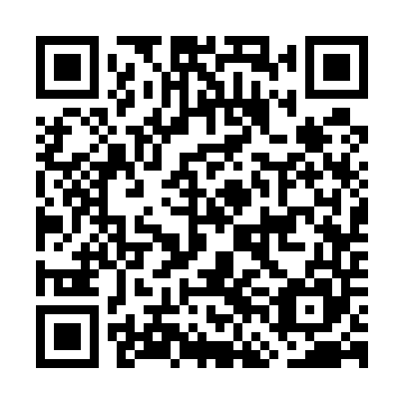 QR code for plate GFC 545