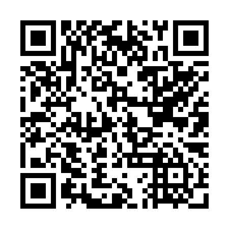 QR code for GFF295