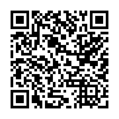 QR code for GFM 293