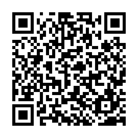 QR code for plate GFN 226