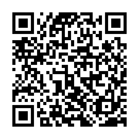 QR code for plate GGC 333