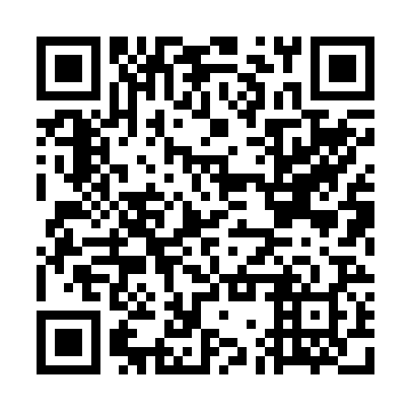 QR code for GGX 228