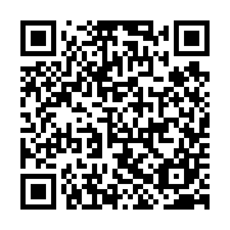 QR code for GHS 607