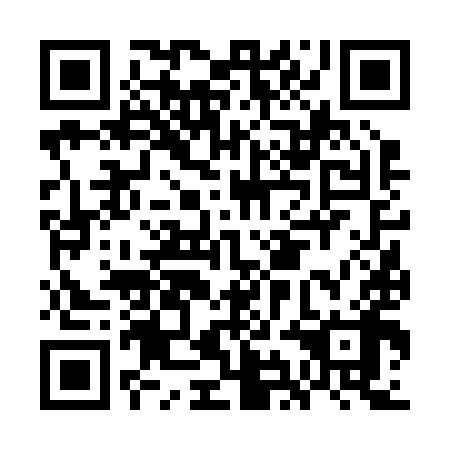 QR code for GIF 298