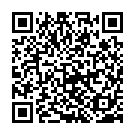 QR code for GII 311