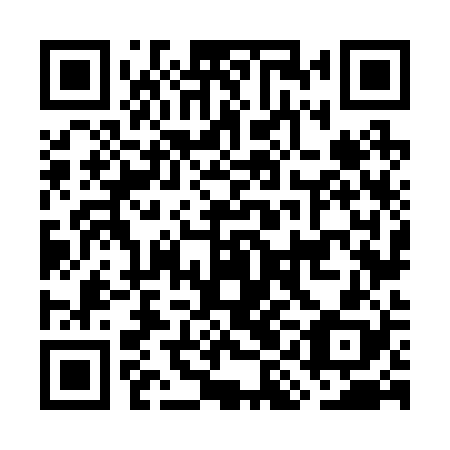 QR code for GIN 228