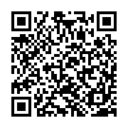QR code for GIR317