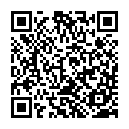 QR code for plate GIR 845