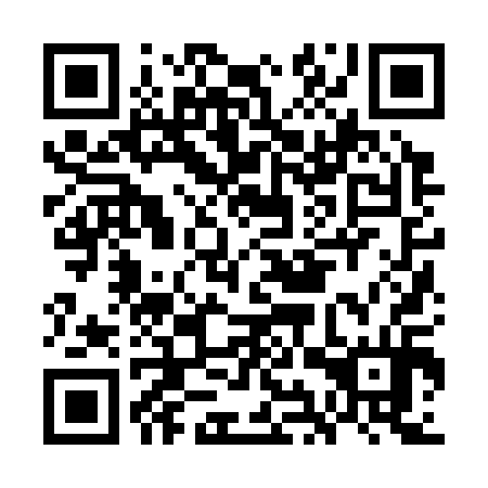 QR code for GIZ 314
