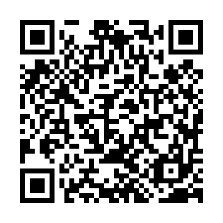 QR code for GIZ 417
