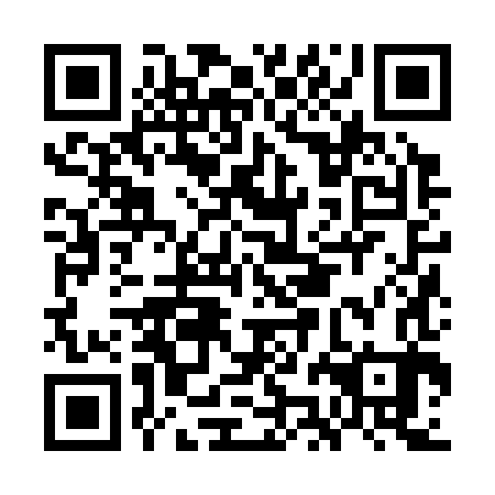 QR code for plate GJJ 383