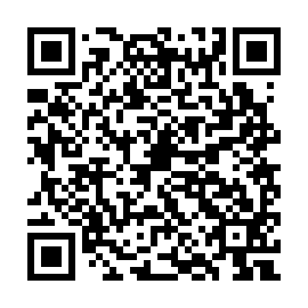 QR code for GNR 393