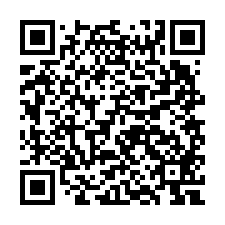 QR code for plate GNR 689