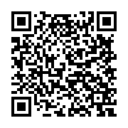 QR code for GNZ 863