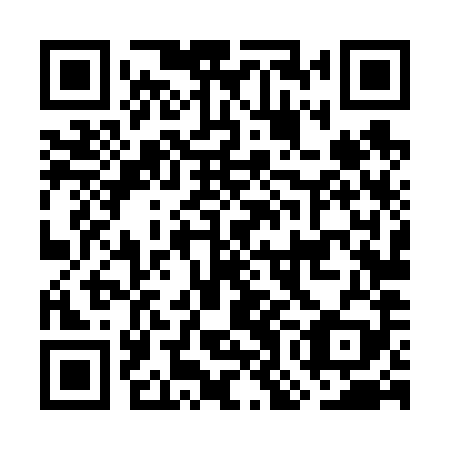 QR code for GOL 689