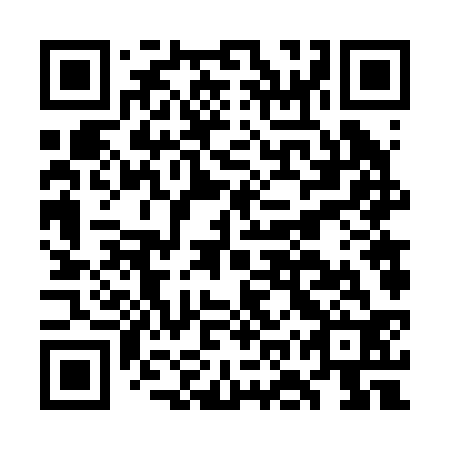 QR code for plate GOV 232
