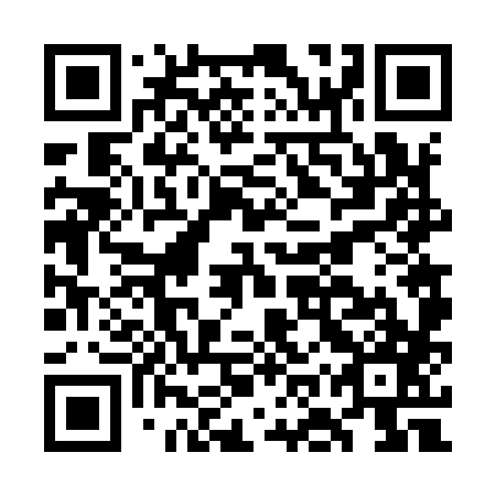 QR code for plate GOV 987