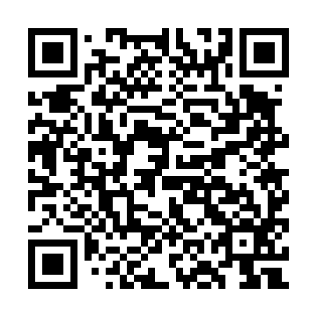 QR code for plate GOW 496