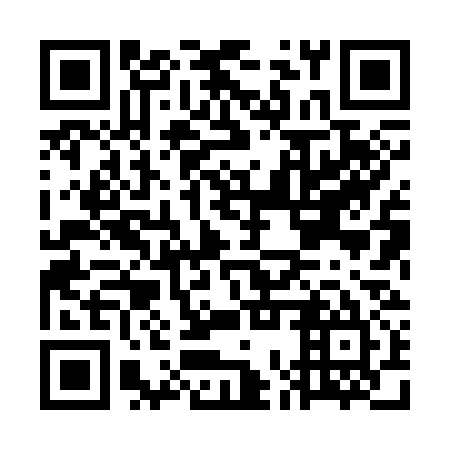 QR code for GOX 335