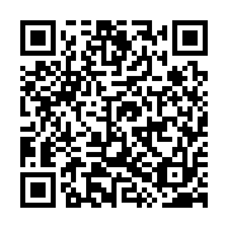 QR code for GPG 313